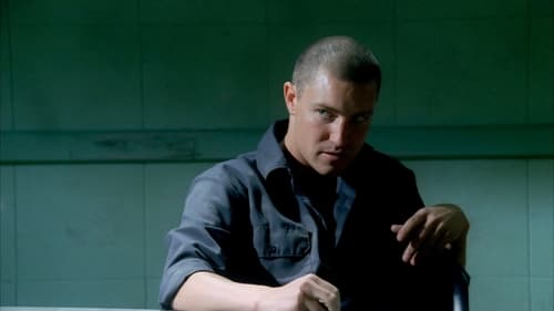 movies/2024-09-04/prison-break-dW7OXLEeBVf8ob35E7mhrsaaEcm.jpg