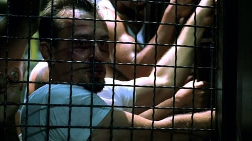 movies/2024-09-04/prison-break-gT1E2upvyF9xqsytAJ0ZfNUFYaL.jpg