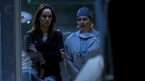 movies/2024-09-04/prison-break-hF5iHTTKCEiyncgPQEM2MdbCPR5.jpg