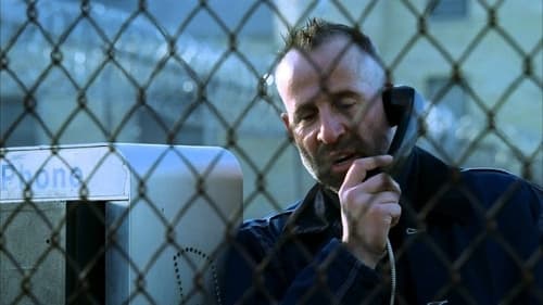 movies/2024-09-04/prison-break-hPUto9JOsWq4WIwp31ULg50kz0k.jpg
