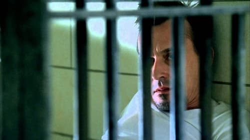 movies/2024-09-04/prison-break-mZxy02ckE2ECqrAPdJlFUyEoPyL.jpg