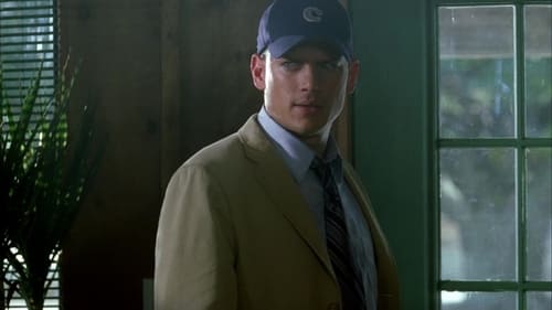 movies/2024-09-04/prison-break-mm51Lt7T7MWrb5wGj6APbD8LhBk.jpg