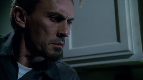 movies/2024-09-04/prison-break-nTPnWRNrqUbzE82DfBcSStkIeEh.jpg