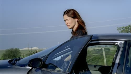 movies/2024-09-04/prison-break-qWjdbkRYeWFQChTplq31gvJ3Ut6.jpg