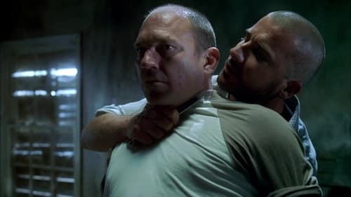 movies/2024-09-04/prison-break-qjjU3UfVmD9sGFPpNcPuhZAvtRU.jpg