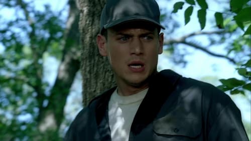 movies/2024-09-04/prison-break-u4zgs0Nlk3Qyk1LKybfesTp3V73.jpg
