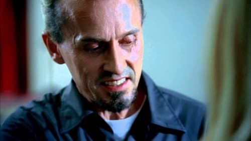 movies/2024-09-04/prison-break-ulJqJNZ6dWd2SXlJtncPmA90P9z.jpg