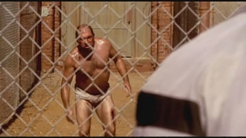 movies/2024-09-04/prison-break-xFHAW5XDmcDUYU4sE8KsPvjCpts.jpg
