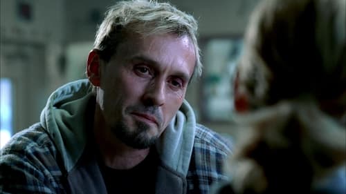 movies/2024-09-04/prison-break-xrlxuAvVITeiT294VgC1Ey32csg.jpg