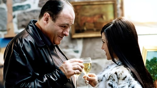 movies/2024-09-04/the-sopranos-1g8Sor8N5DJchtber24nDjzq7y4.jpg