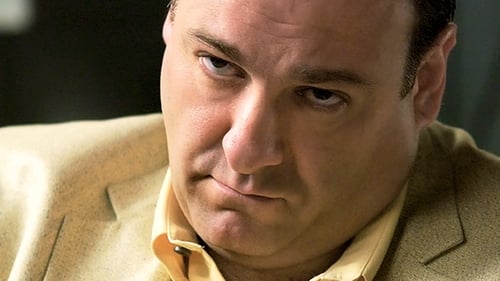 movies/2024-09-04/the-sopranos-4XZGGHcXNKn0tk9mIDnqs2VoUo1.jpg
