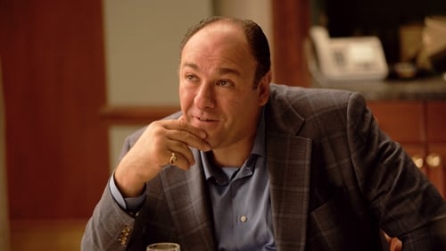movies/2024-09-04/the-sopranos-7lthr5g1ZTlllmmHeAtUkFWPo2O.jpg