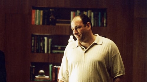 movies/2024-09-04/the-sopranos-8Qsji9ovsqBZpvdnf5COzxb0MxC.jpg