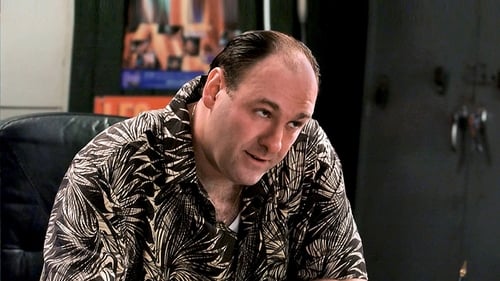movies/2024-09-04/the-sopranos-eCrucv2g6fxPp2InmwSCu4OtFpF.jpg
