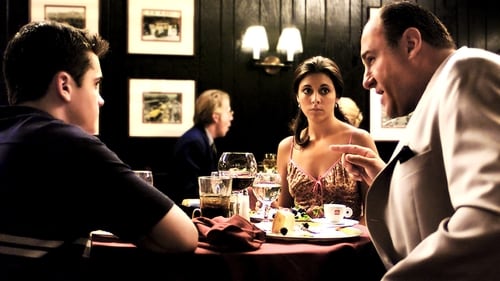 movies/2024-09-04/the-sopranos-eOMN0P90pY6oOR81zVCXZorAeEv.jpg