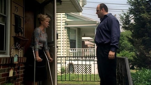 movies/2024-09-04/the-sopranos-ipI8cUv4PR7yKfIPYT9tQu0KBI4.jpg