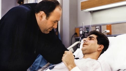 movies/2024-09-04/the-sopranos-jsHFwt5e9nhfbLpku5I5AgjjN3r.jpg