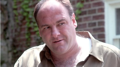 movies/2024-09-04/the-sopranos-l9DSr4c7BnXoWAqXGzgHdmFZt7G.jpg