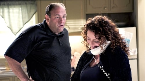 movies/2024-09-04/the-sopranos-nYXjirWvFSJ3oJD72xbaioUnlDd.jpg