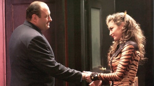 movies/2024-09-04/the-sopranos-oBwCJLKivkhFWs4ZaLiyZ0CZkwd.jpg