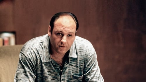 movies/2024-09-04/the-sopranos-ozkAnGH5RDqZyVGXZrJXBOW3hUm.jpg