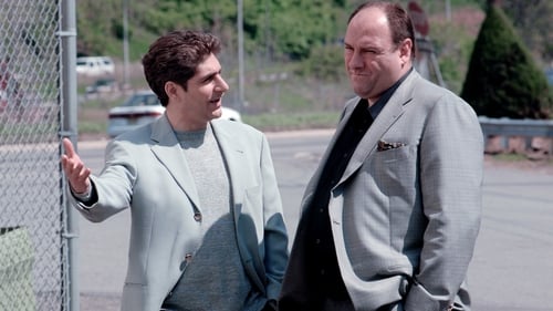 movies/2024-09-04/the-sopranos-p0Ivk6yoXtXbrOzX5FMfKiSDKuk.jpg