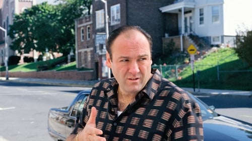 movies/2024-09-04/the-sopranos-p36klBdakczRZ1XnjAmCNnUw5mY.jpg