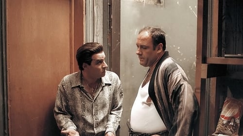movies/2024-09-04/the-sopranos-pR7Ag4lzWOexnzfsCXvZP6HkyD0.jpg