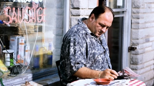 movies/2024-09-04/the-sopranos-pWvcdCP71pbhsXTgENBDjQy0qZl.jpg