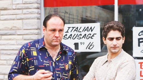 movies/2024-09-04/the-sopranos-s9yTbvnNK4LCYfsUfWHQbI5ooBN.jpg