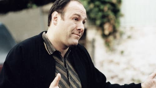 movies/2024-09-04/the-sopranos-wD2FdJoNIKKerUCu4tlpin3hbJq.jpg