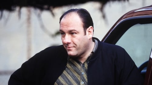 movies/2024-09-04/the-sopranos-wP8mcwsJ4TCcGsshslYlGOxW8Lf.jpg