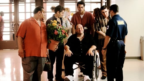 movies/2024-09-04/the-sopranos-yMpskMrK1Jp4DHIoklcAcDxHkh2.jpg