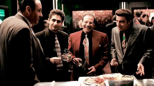 movies/2024-09-04/the-sopranos-ykdlRQNBhAOJf7NgyAkXcuzLO1u.jpg