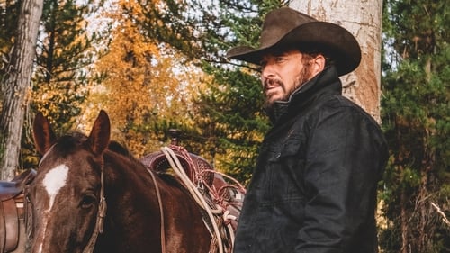 movies/2024-09-04/yellowstone-31jdlZMWsdYtpPVqjbkiybzCx3W.jpg