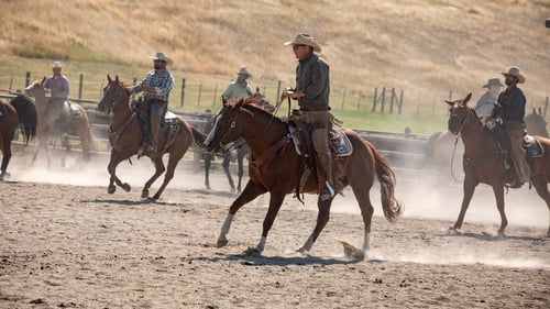 movies/2024-09-04/yellowstone-l6TEefAPbxAS6TuhCz0kcl4WHoH.jpg