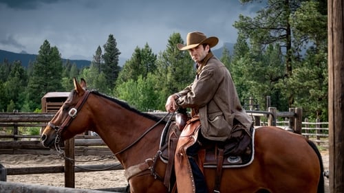 movies/2024-09-04/yellowstone-wSBx2LtZU4ikc3cPP3ZUlS3ey8d.jpg