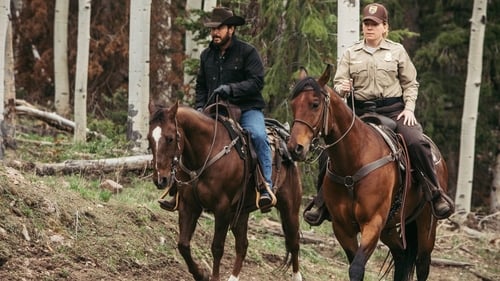 movies/2024-09-04/yellowstone-xD2B7EC3fNg3SeMFbczZRvNxcba.jpg
