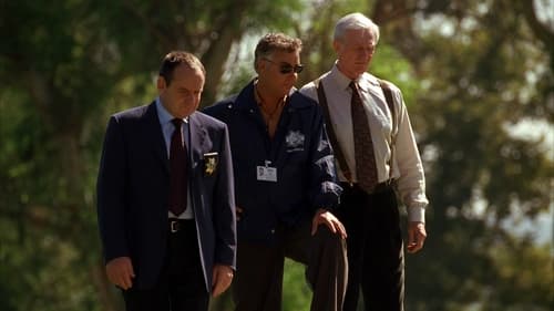movies/2024-09-05/csi-crime-scene-investigation-1kEaZVMEDDj66GQtsXMy15cpVgn.jpg