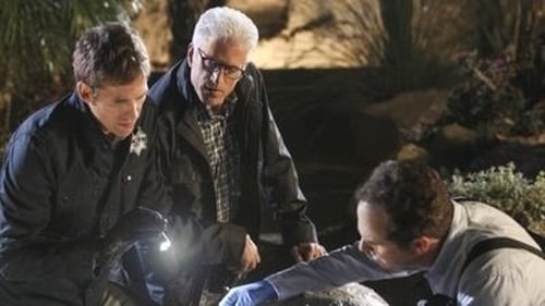 movies/2024-09-05/csi-crime-scene-investigation-3s1j0LFyDbX9u9Ba4df0t8PQoEW.jpg