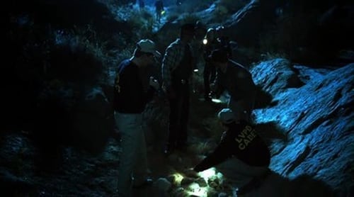 movies/2024-09-05/csi-crime-scene-investigation-4oEtCmvOzvOLEQHl7y2DmYvF1xy.jpg