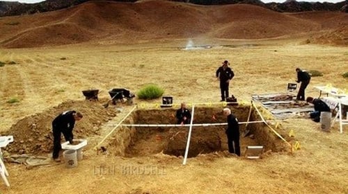 movies/2024-09-05/csi-crime-scene-investigation-6lEPjyQaG3zA2wZf6scsTrltYpG.jpg
