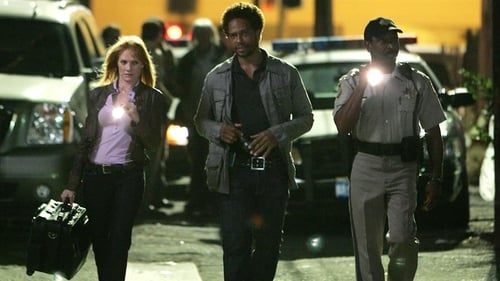 movies/2024-09-05/csi-crime-scene-investigation-AvqhoCUXhNuR6EinVdRuquE4Djh.jpg
