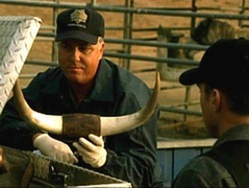 movies/2024-09-05/csi-crime-scene-investigation-aJbG5wh7mYBWtAiZb8Uoyw1vpDE.jpg