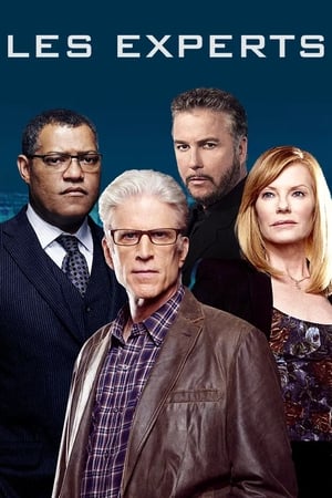 Les Experts - CSI: Crime Scene Investigation (2000)