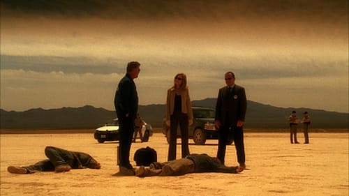 movies/2024-09-05/csi-crime-scene-investigation-jSTkFupNt8UZo1cxeK3nAIjQBRD.jpg