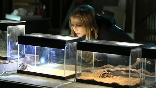 movies/2024-09-05/csi-crime-scene-investigation-jSvmtR1wfyO9yFayOSpTlvYAxMS.jpg