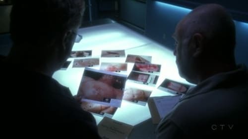 movies/2024-09-05/csi-crime-scene-investigation-lv7uaXY1JoFWvLzlKIL7ruF4z4z.jpg
