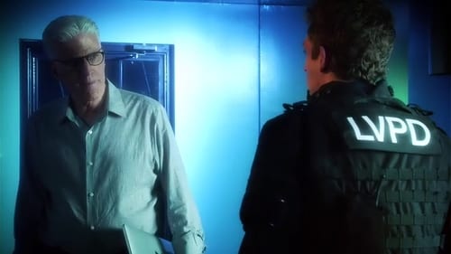 movies/2024-09-05/csi-crime-scene-investigation-nOvjXLqM3204wcQSFfnKVxBQmeP.jpg