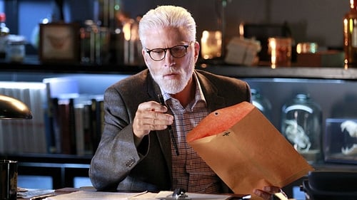 movies/2024-09-05/csi-crime-scene-investigation-nqwhOYpGyppa7yqQXdb1tTFpcin.jpg